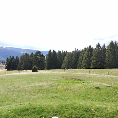 La Ferme Du Levant Gerardmer Ngoại thất bức ảnh
