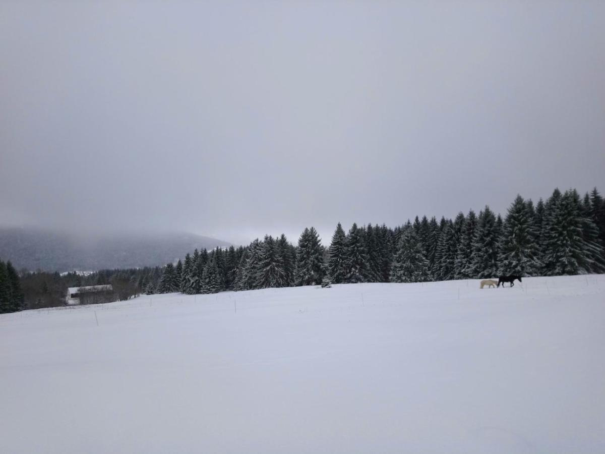 La Ferme Du Levant Gerardmer Ngoại thất bức ảnh