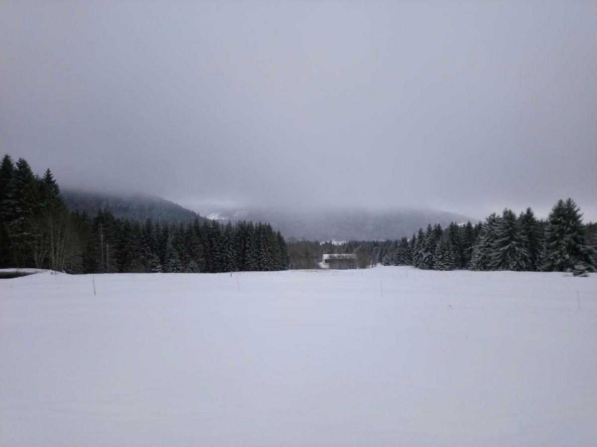 La Ferme Du Levant Gerardmer Ngoại thất bức ảnh
