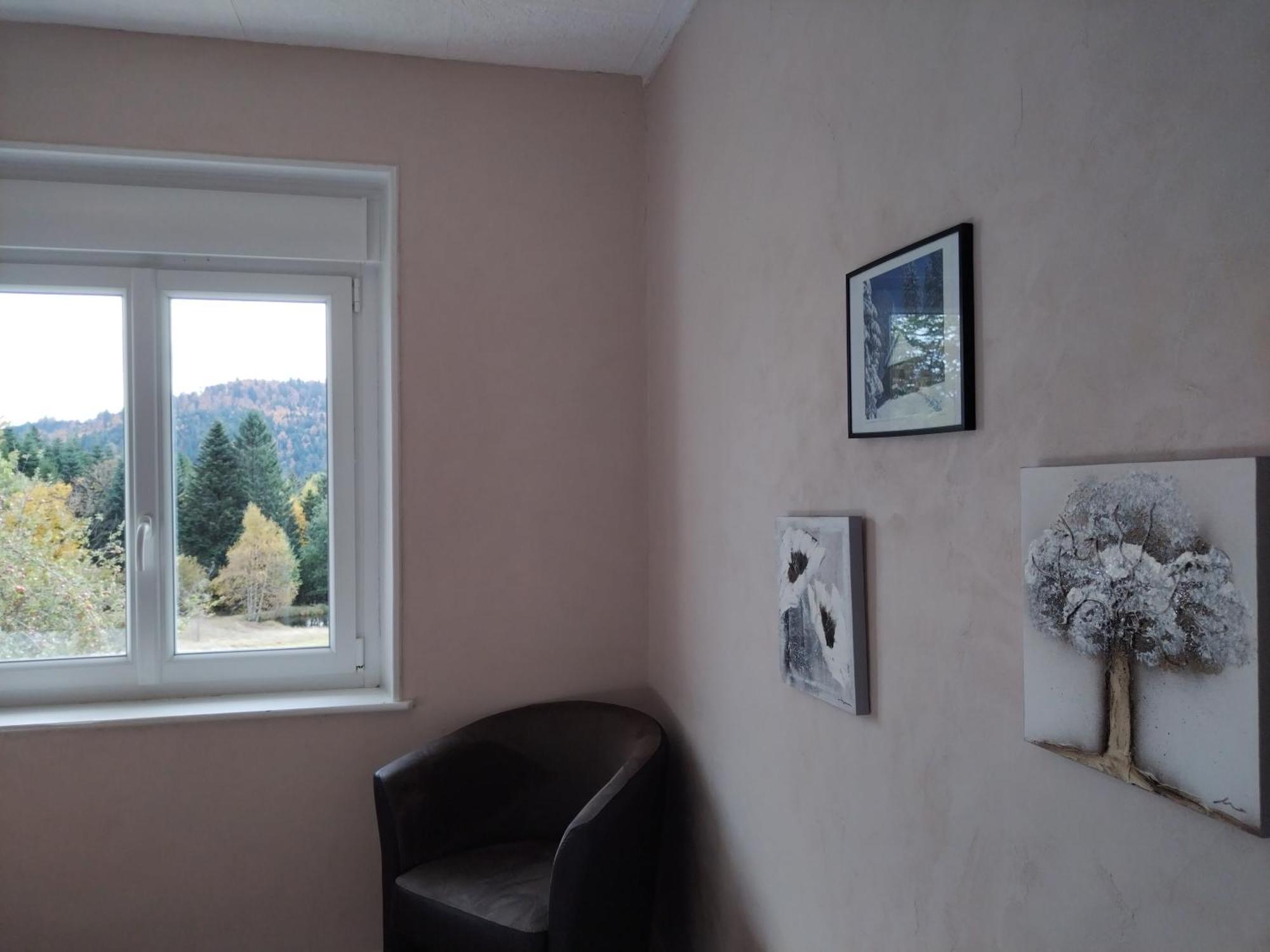 La Ferme Du Levant Gerardmer Ngoại thất bức ảnh