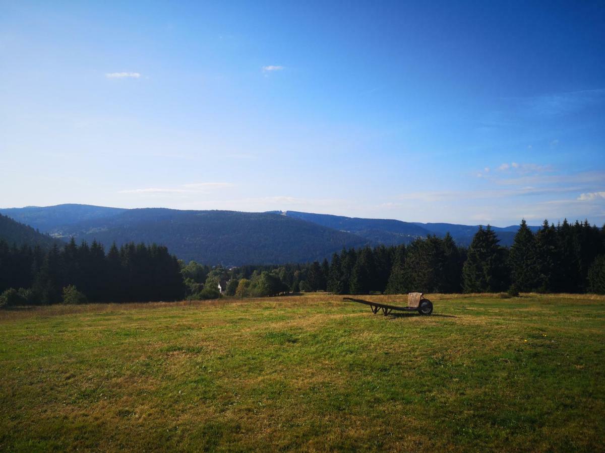 La Ferme Du Levant Gerardmer Ngoại thất bức ảnh