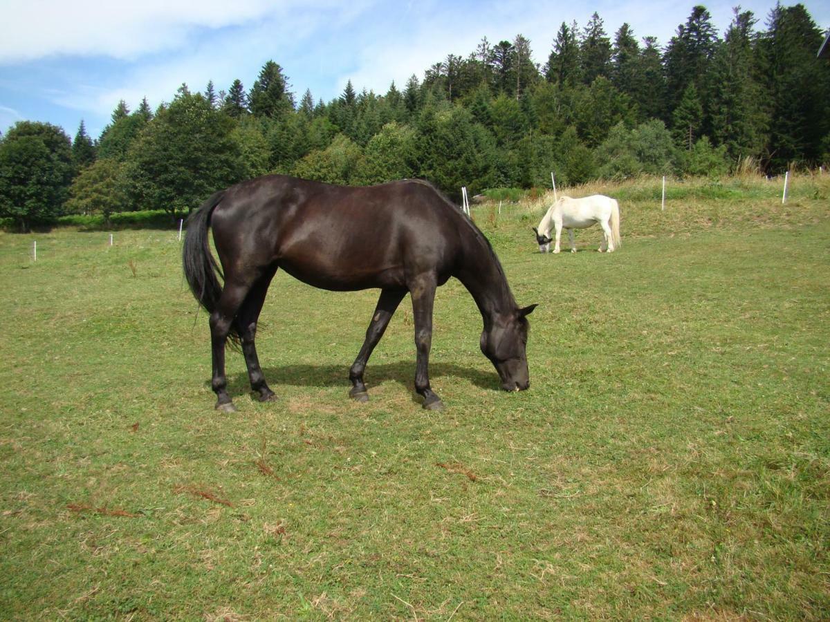 La Ferme Du Levant Gerardmer Ngoại thất bức ảnh